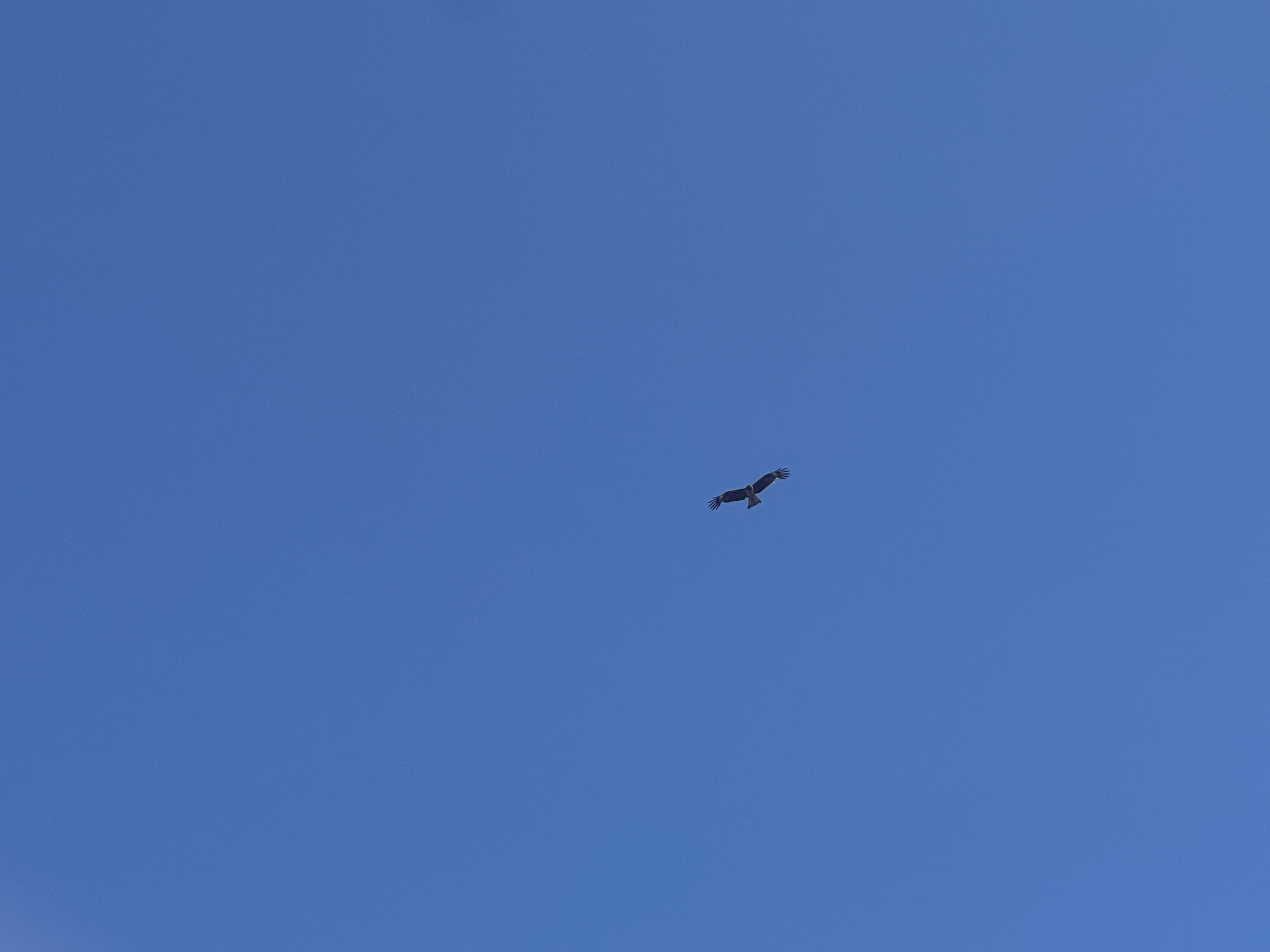 IMG_9100.JPG