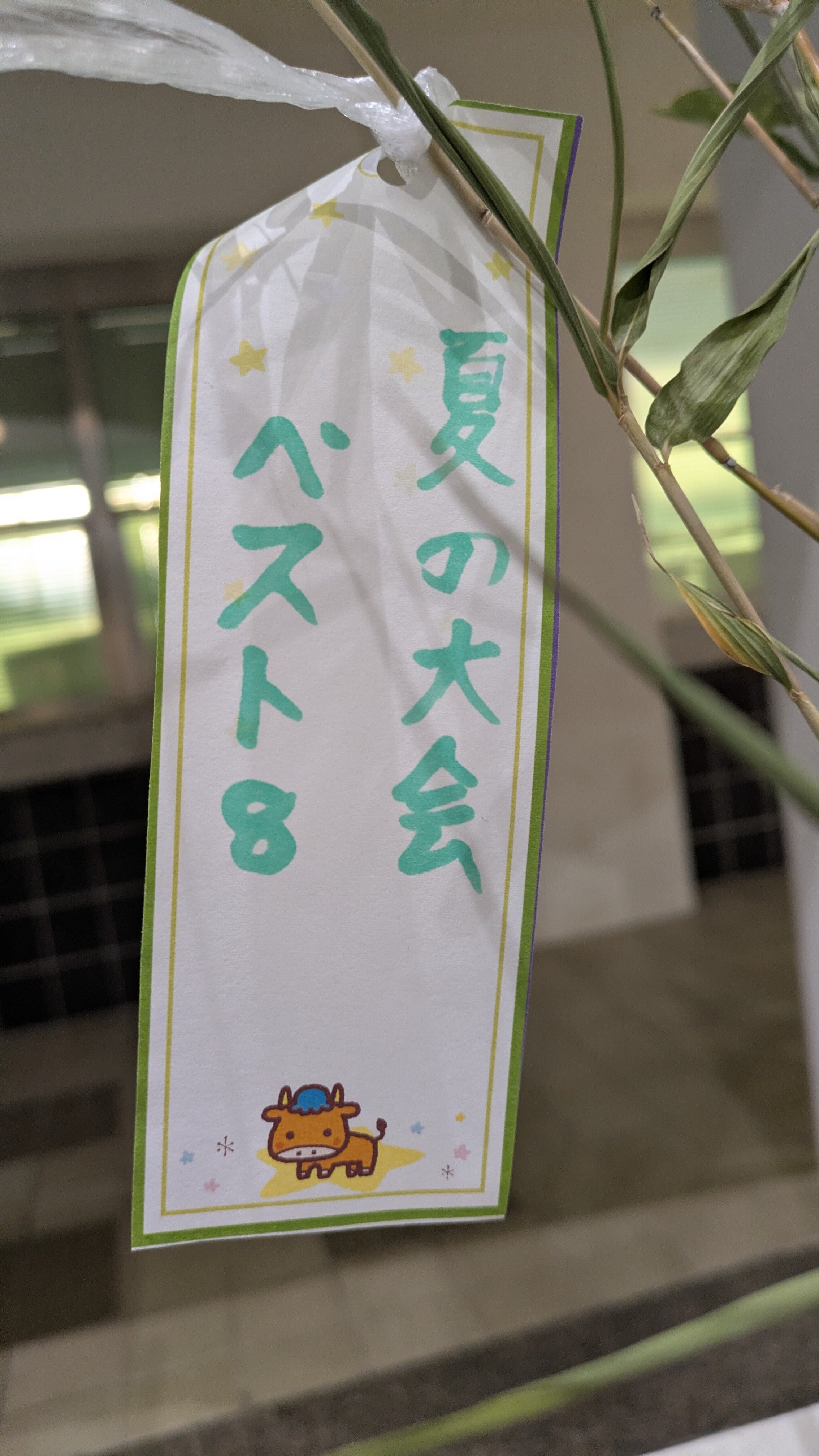 ③ベスト8.jpg