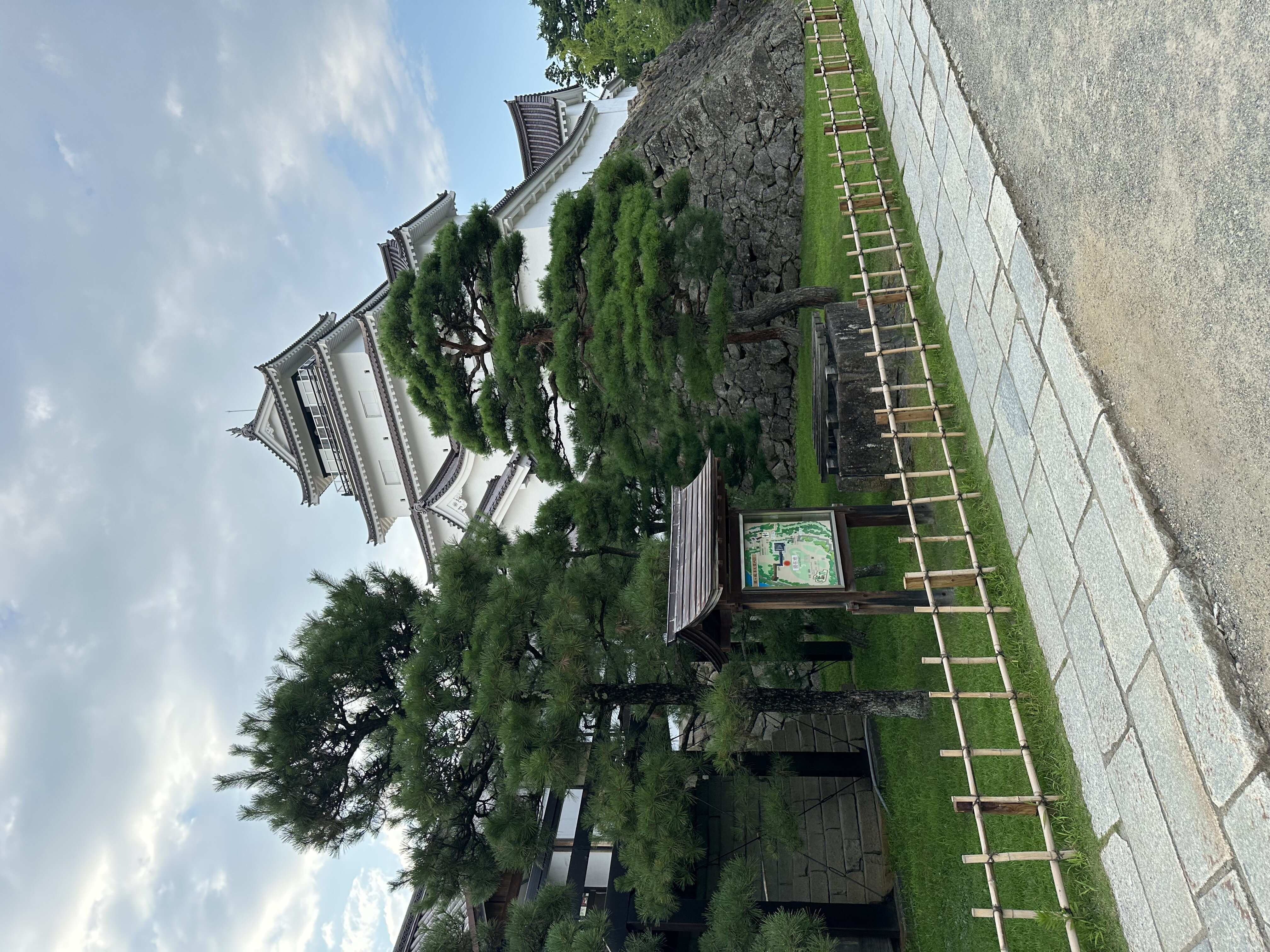 IMG_2729.jpeg