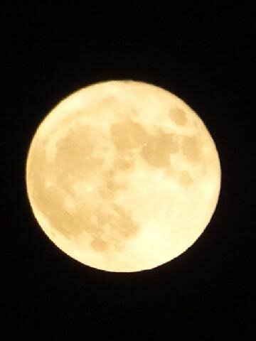 IMG_0441.JPG