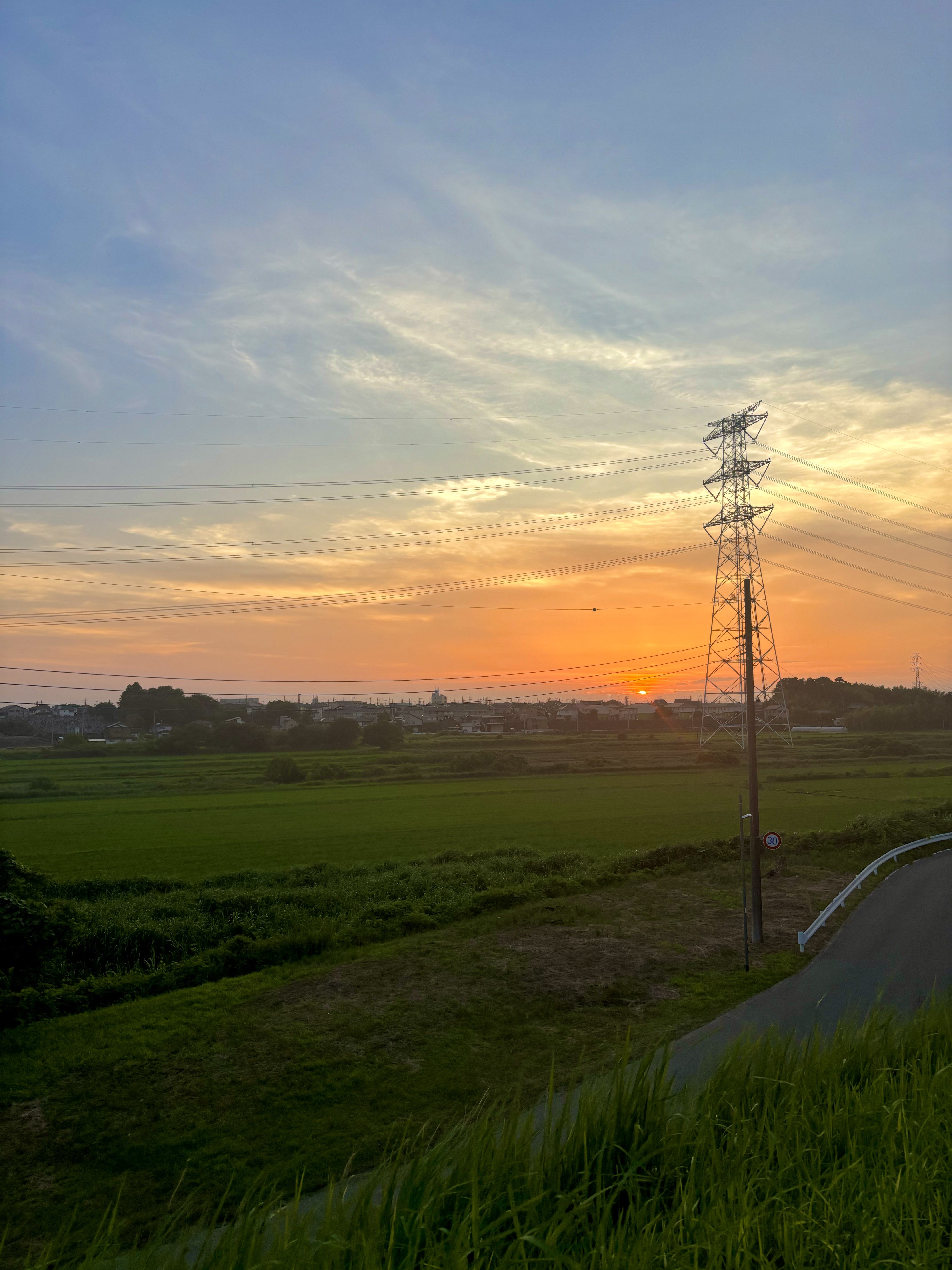 IMG_8279.jpeg