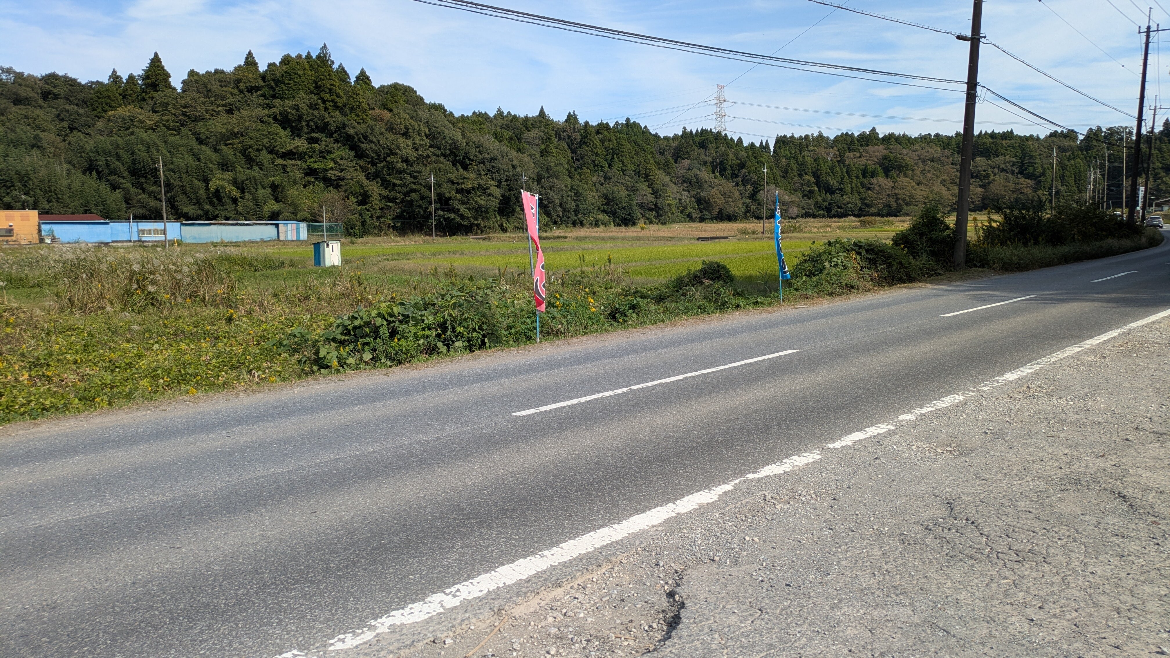 PXL_20261017_035519280.jpg