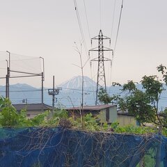 20250518_173258.jpg