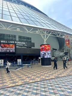 IMG_8291.jpeg