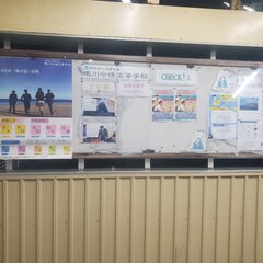 20250530_200746.jpg