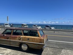 IMG_3124.jpeg