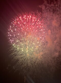 IMG_9889.jpg