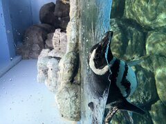 IMG_0458.JPG