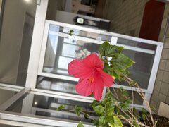 IMG_1997.JPG