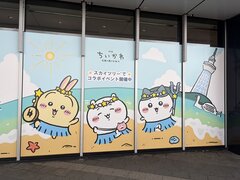 IMG_2960.JPG
