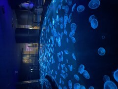 IMG_5835.JPG