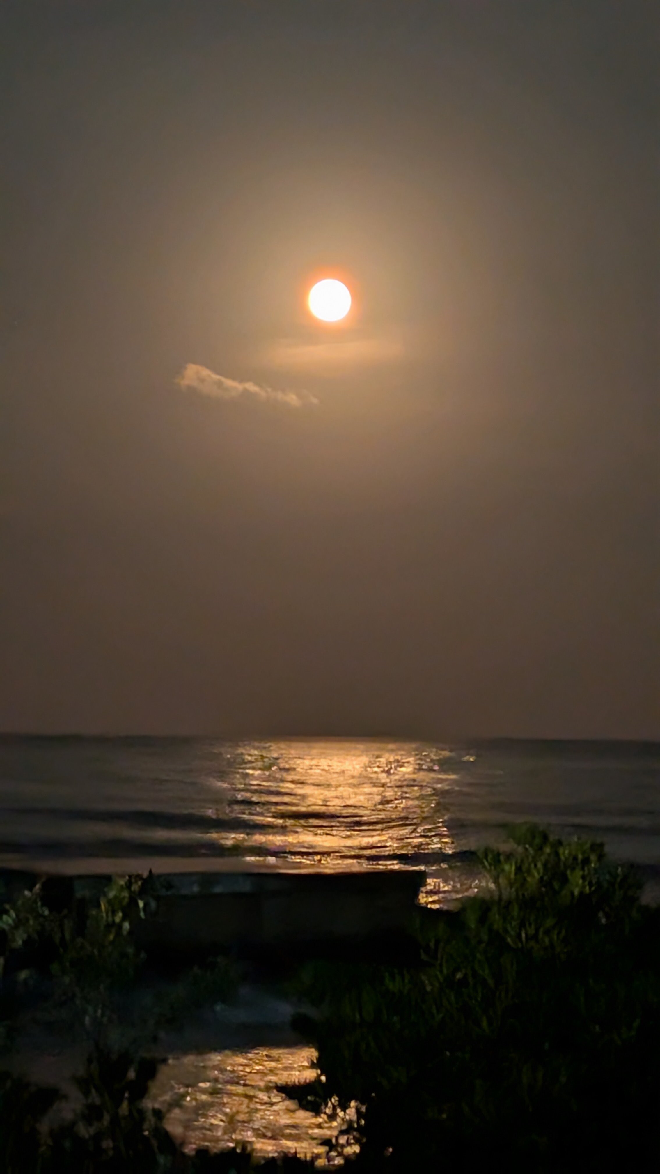 海と月.jpg